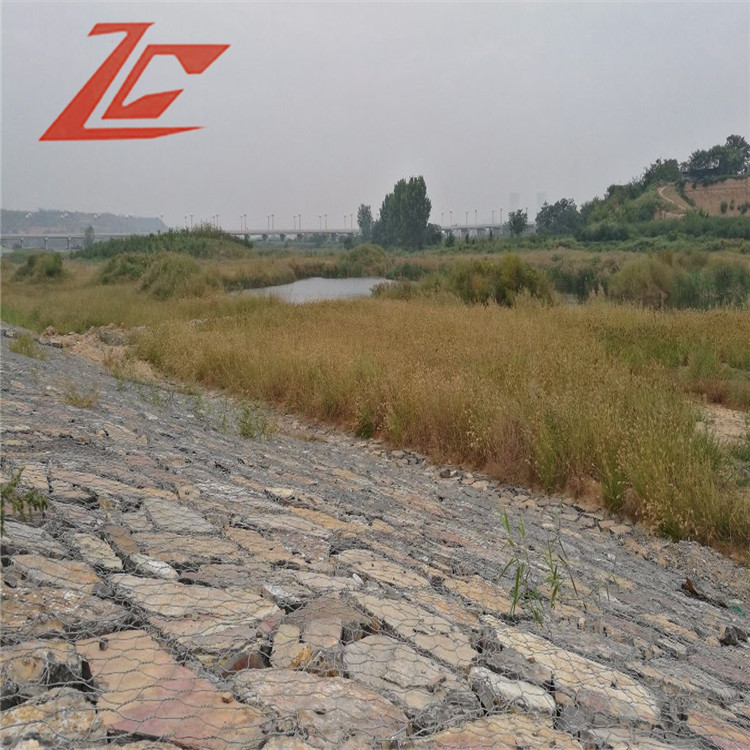 1657013023237058018.jpg 1542(85).jpg