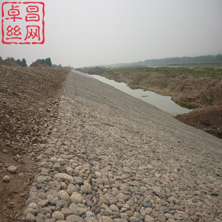 1696987622646021128.jpg 961_副本.jpg