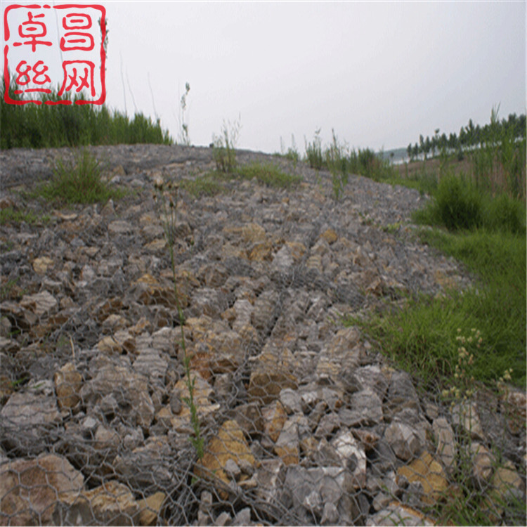 1698888331479095294.jpg 1197.jpg