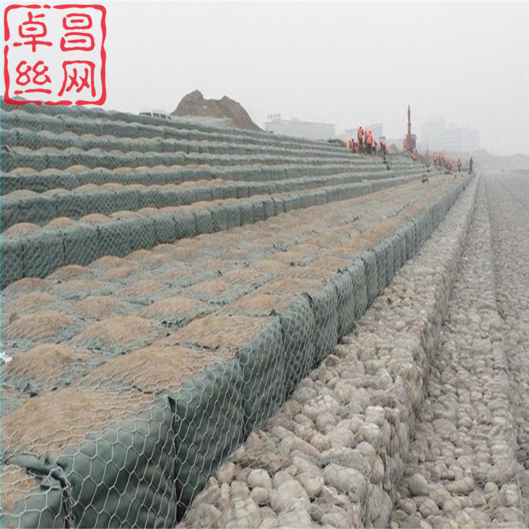 1702605400923033801.jpg 225.jpg