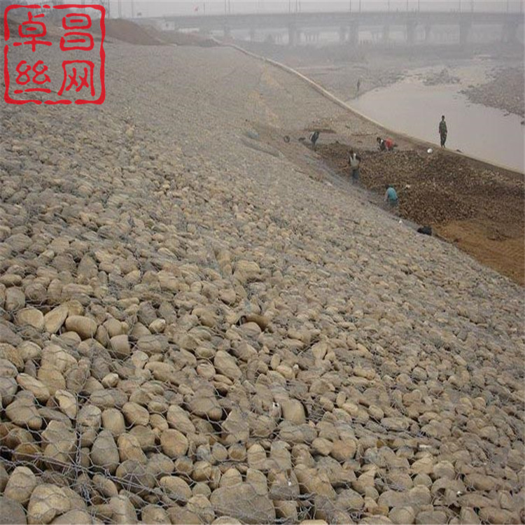 1704597331613070161.jpg 568.jpg